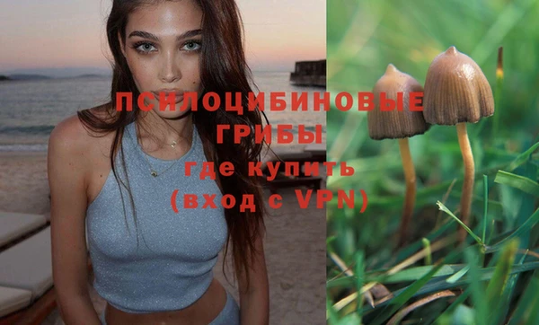 ГАЛЛЮЦИНОГЕННЫЕ ГРИБЫ Абдулино